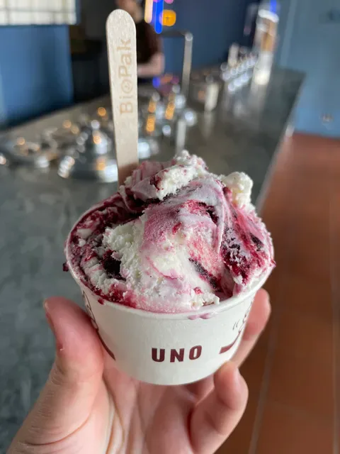 Chicho Gelato Northbridge