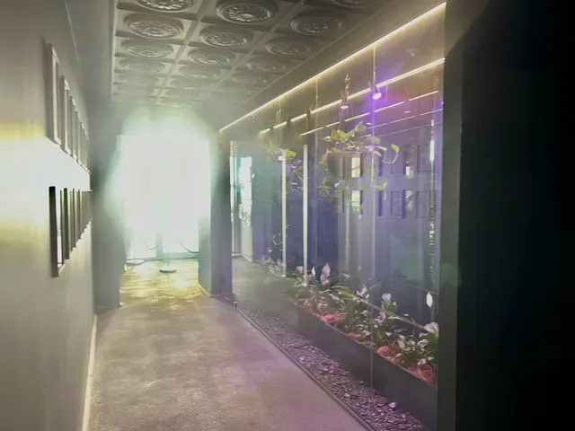 Terrarium Perth