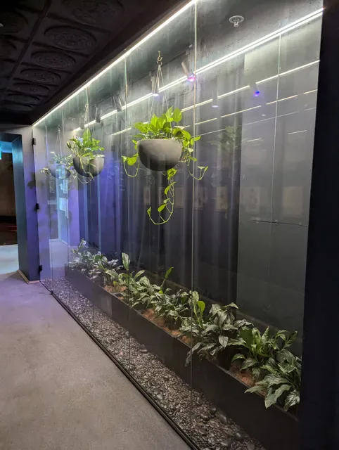 Terrarium Perth