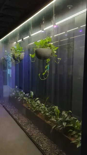 Terrarium Perth