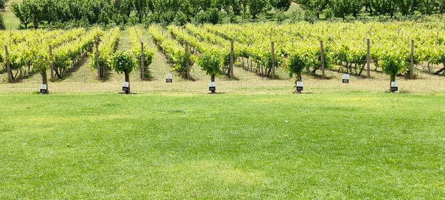 La Fattoria Perth Hills