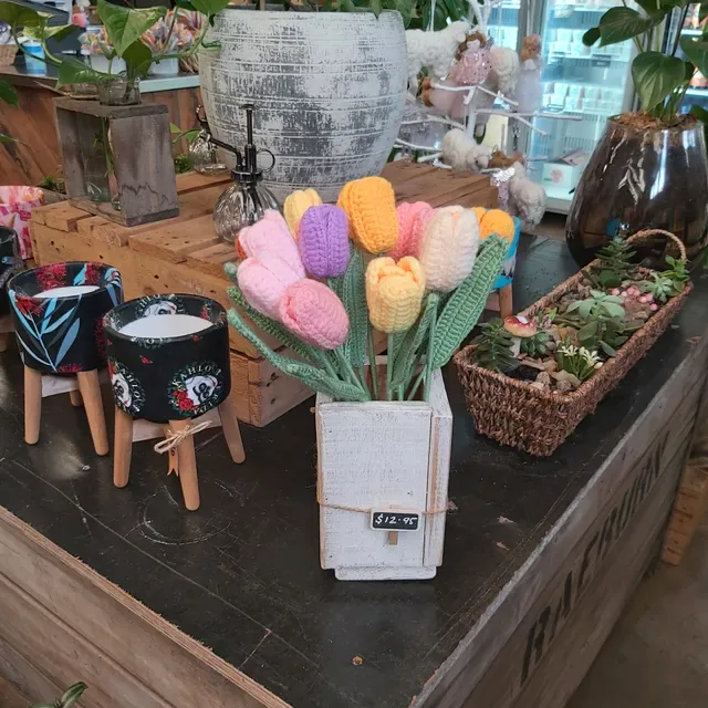 Coffee @ The Shed