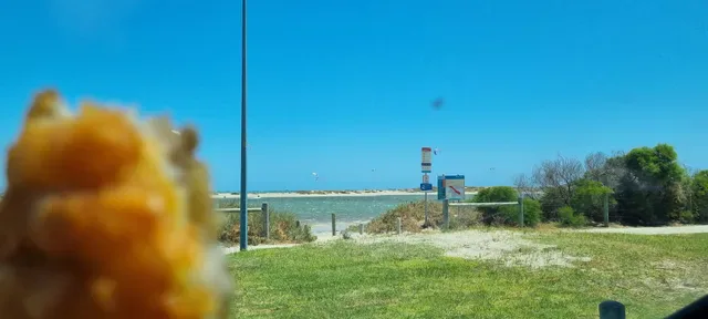 Catchy Fish and Chips