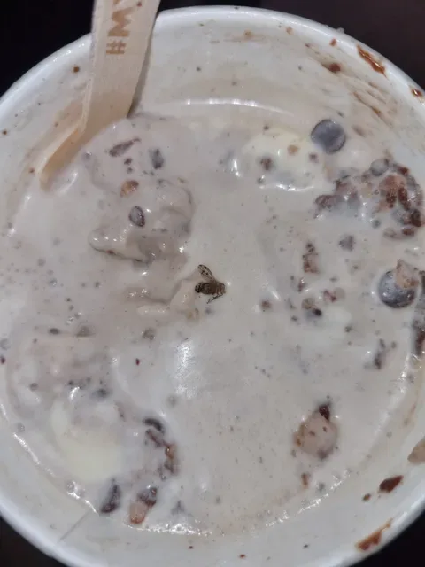 Cold Rock Ice Creamery Scarborough