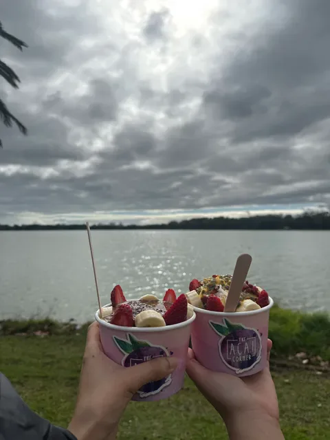 The Acai Corner