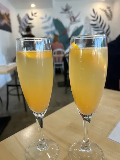 Mimosa