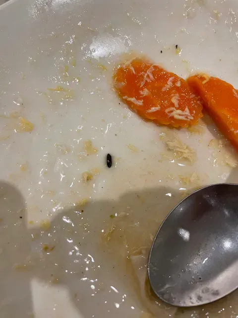 Taste Canton Chinese Restaurant 食德