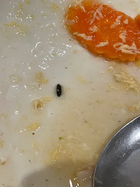 Taste Canton Chinese Restaurant 食德