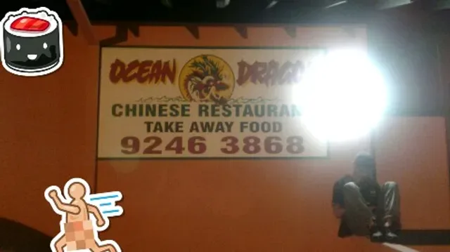 Ocean Dragon Chinese Restaurant
