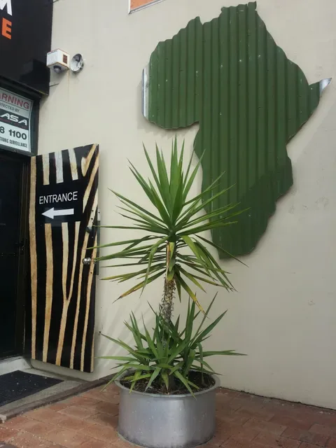 Kalahari A Taste of Africa