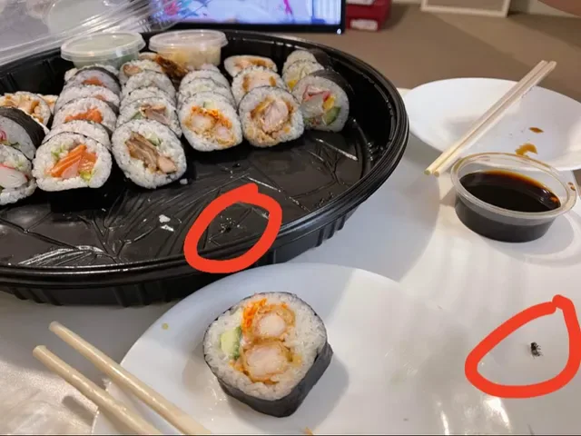 Silver Sushi Willetton