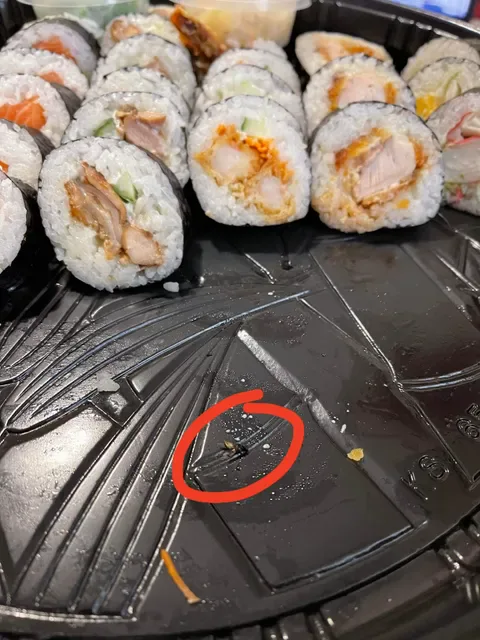 Silver Sushi Willetton