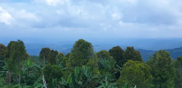 The Northview Bali - Ngiring Ngewedang Restaurant & Coffee Corner