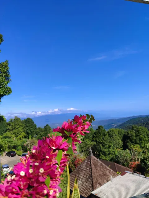 Adila Warung and homestay