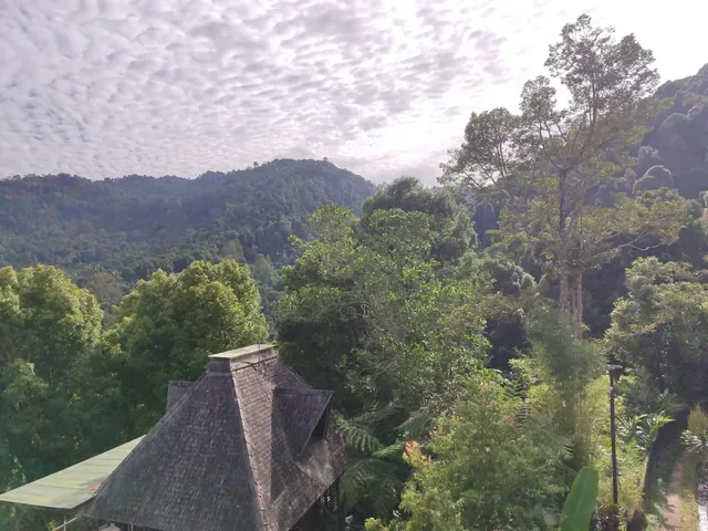 Adila Warung and homestay