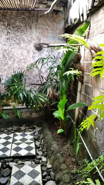 Funky Place Lovina