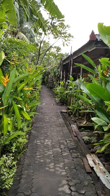 Funky Place Lovina