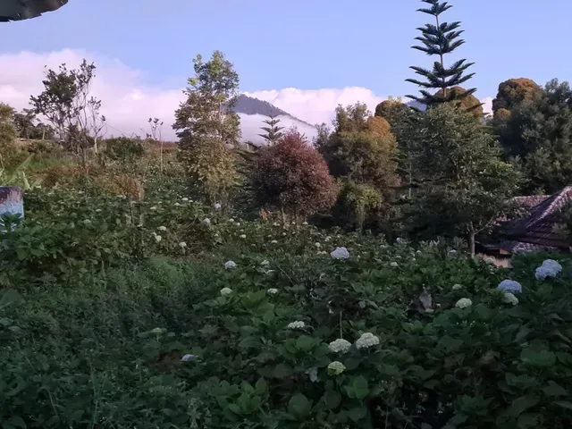 Munduk Farmhouse