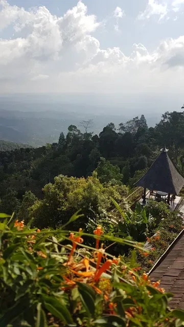 The View Munduk