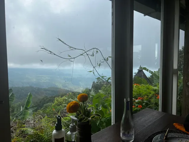 The View Munduk