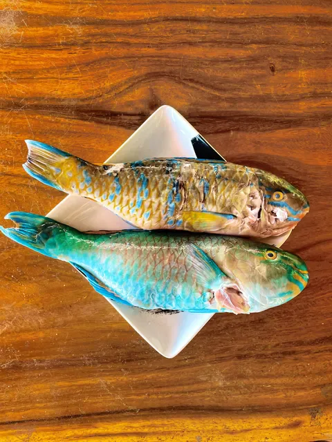 Warung Ikan Bakar Xenia
