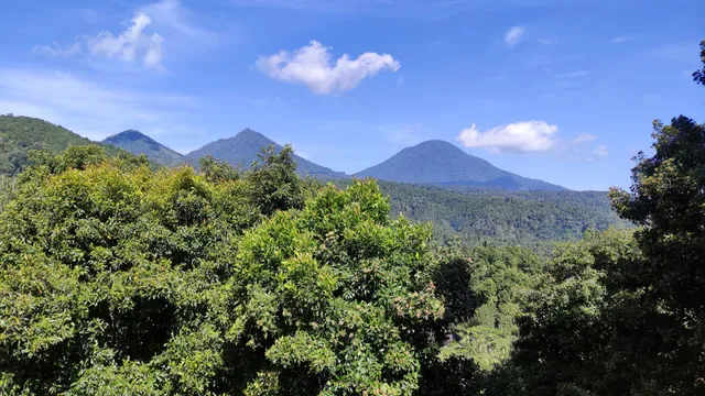 Warung Kadirasa