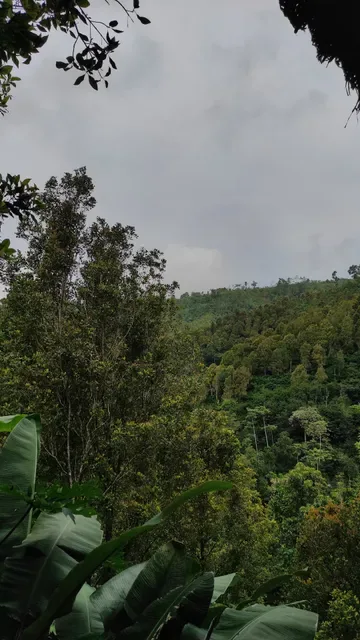 Warung Panorama & Panorama Munduk Guest House