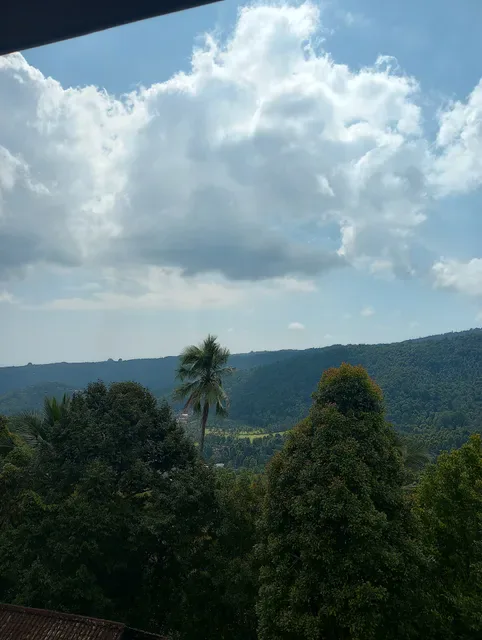 Warung Panorama & Panorama Munduk Guest House
