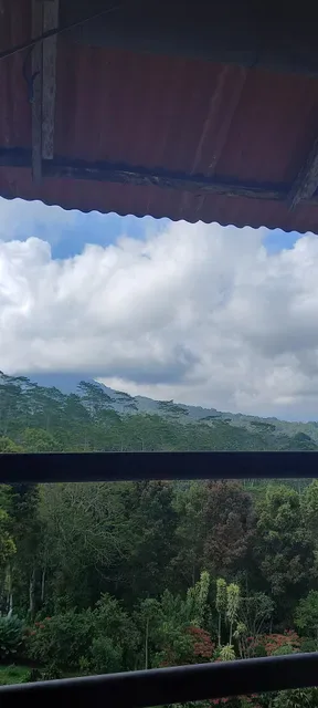 Bakmi Akai (Bedugul)