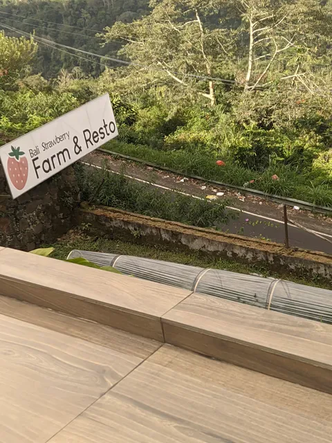 Bali Strawberry Farm & Resto