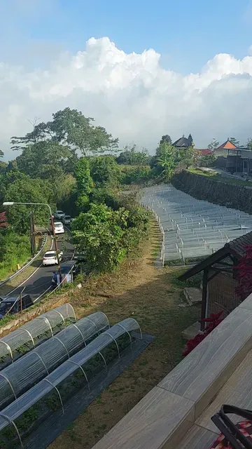 Bali Strawberry Farm & Resto