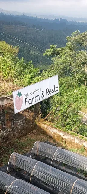 Bali Strawberry Farm & Resto