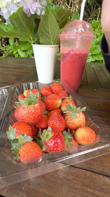 Bali Strawberry Farm & Resto