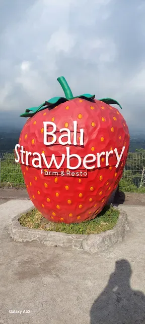 Bali Strawberry Farm & Resto