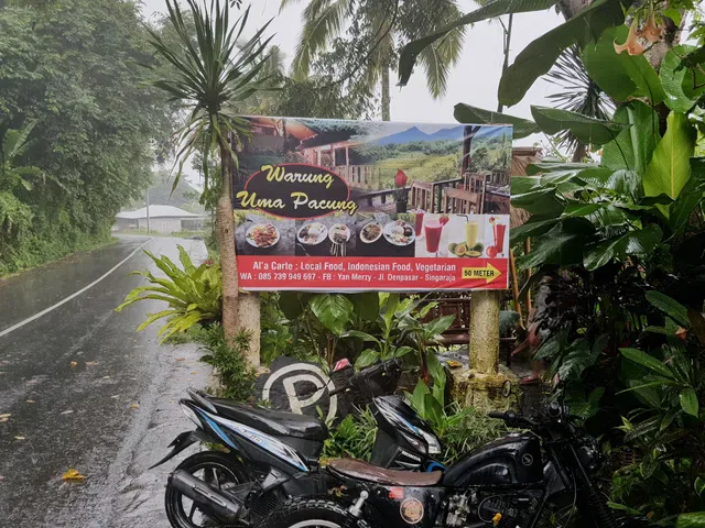 Diuma Pacung