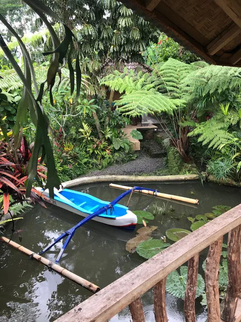 Diuma Pacung