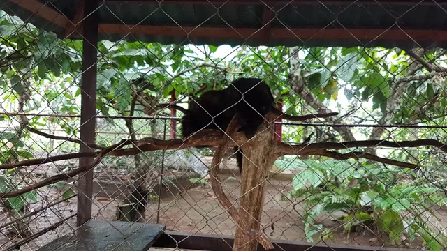 Subak Bali Agro