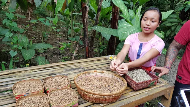 Subak Bali Agro