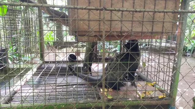 Subak Bali Agro