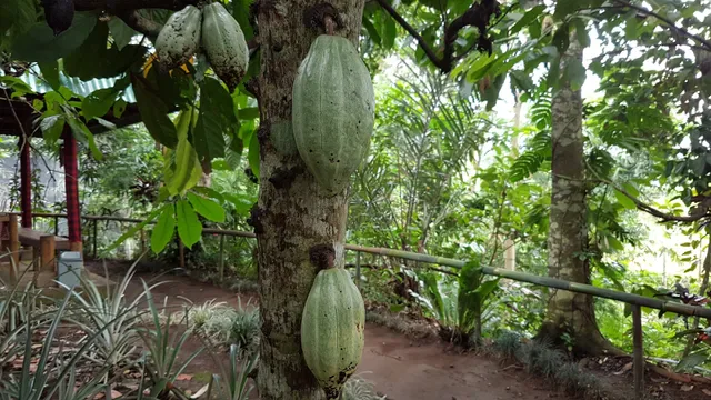 Subak Bali Agro