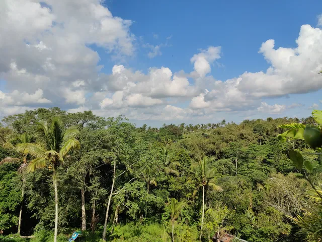 Warung Makan Alami