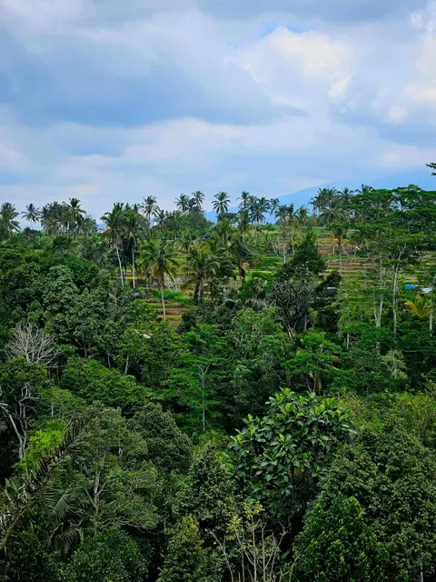 Warung Makan Alami