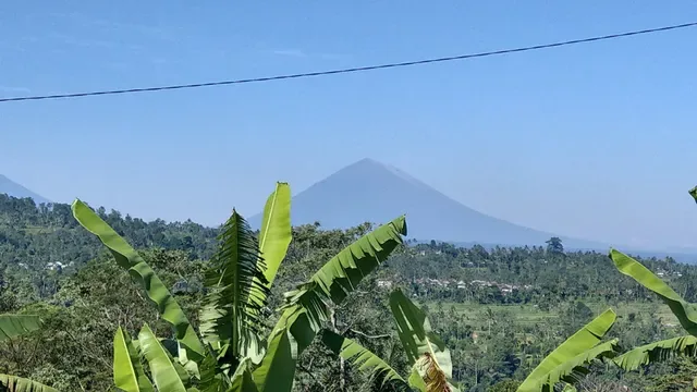 Warung and Angkringan Pacung Panorama
