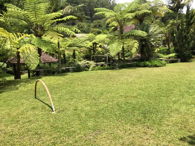 Warung Rekreasi Bedugul