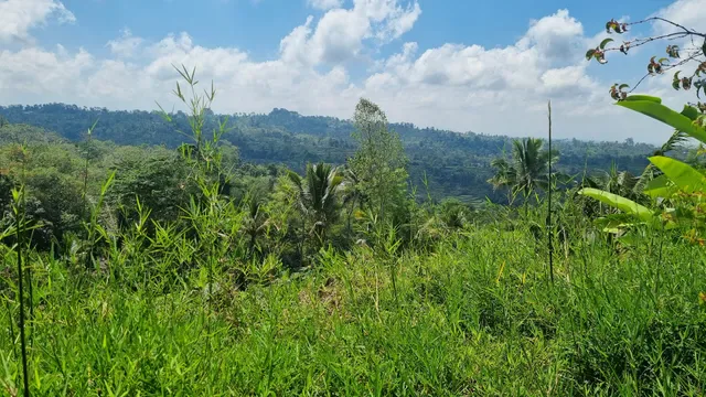 Warung Taman Gemitir
