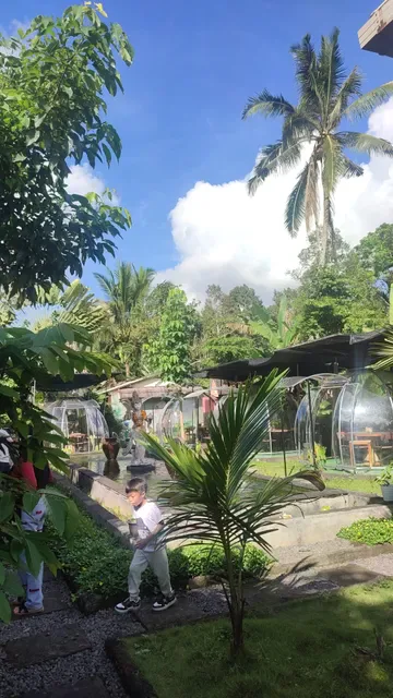 Wr. Bubble