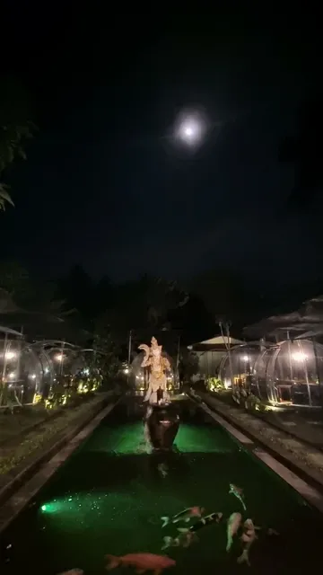 Wr. Bubble