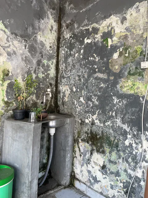The Artha Kitchen