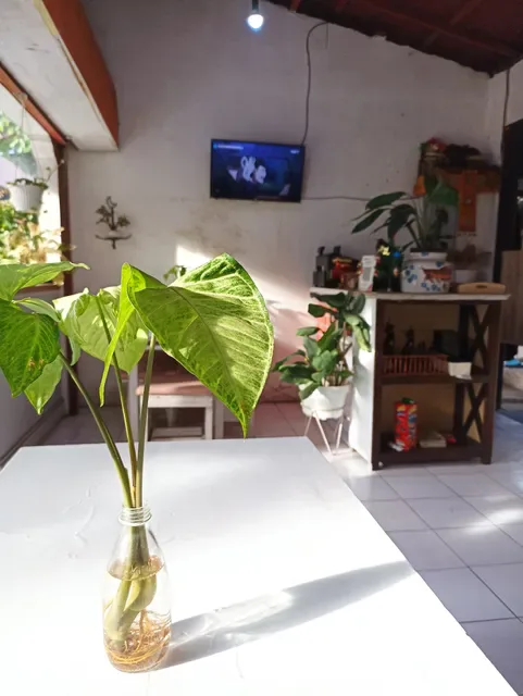 Dapur Mamiku Sanur