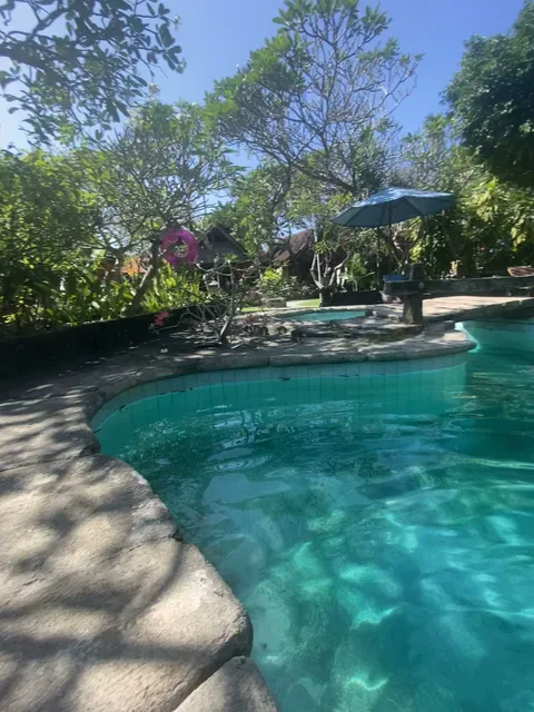 Hidden Garden Bar.
